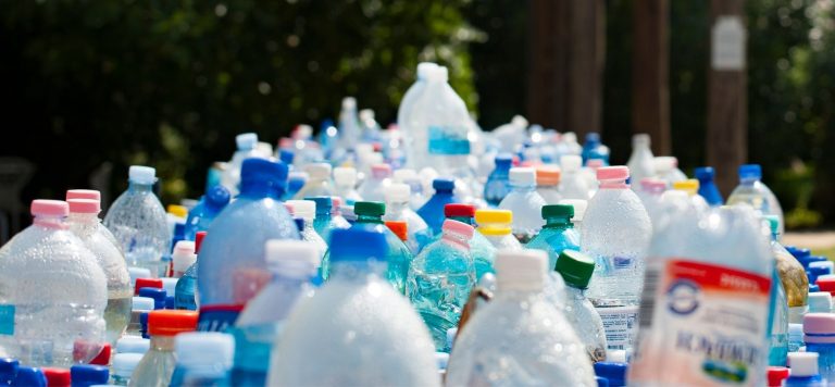 This Startup Is Getting Us One Step Closer To A Plastic-Free Earth