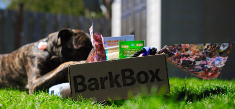 BarkBox vs. Chewy: Pet Companies Battle It Out