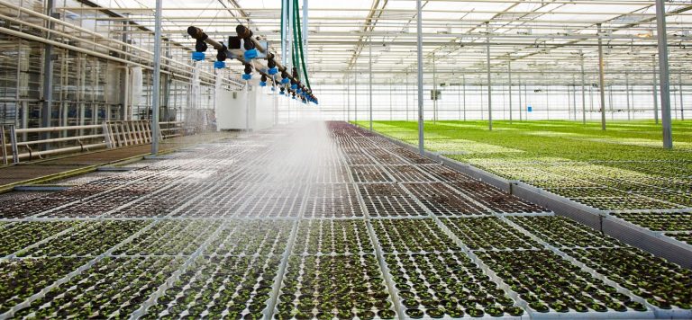 This Innovative Irrigation System Actually “Talks” To Plants
