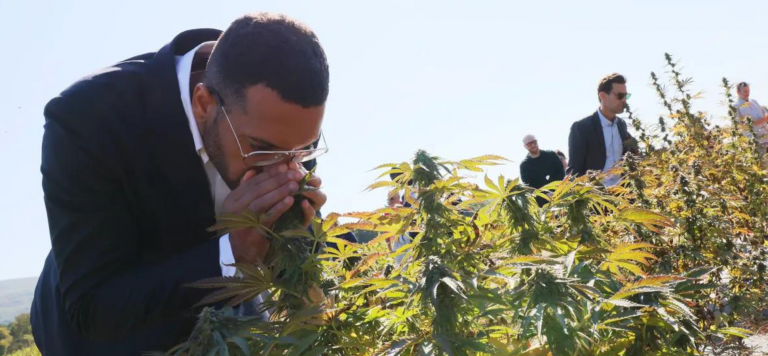 Critics of social justice assert that the New York cannabis launch is turning into a bad experience.