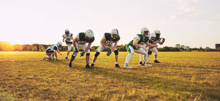 Exploring the Fan-Driven Ownership of the Green Bay Packers