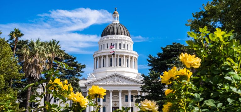 Southern California businesses rise from the ashes of wildfires