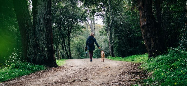 Want to Level Up? These 3 Lifestyle Habits Made Me Unstoppable