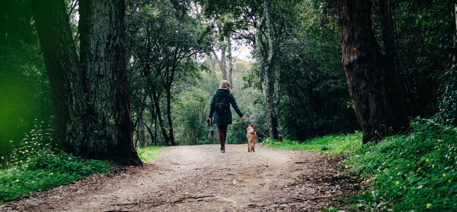 Walking with the dog