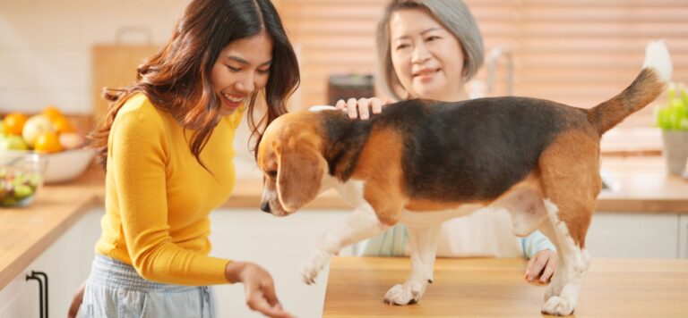 Why Talking to Your Pets Like People Is Healthier Than You Think