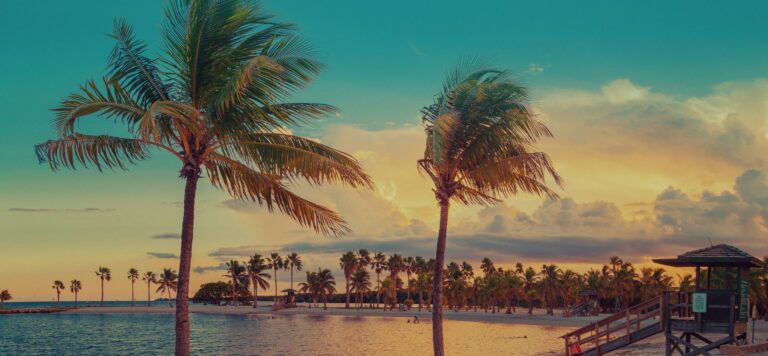 The 18 Best Beaches in Miami
