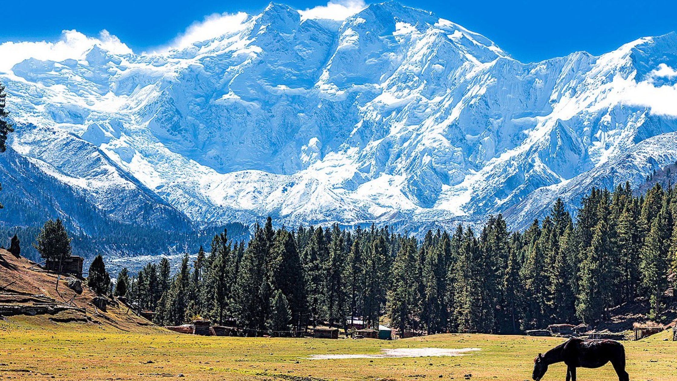 Nanga parbat 