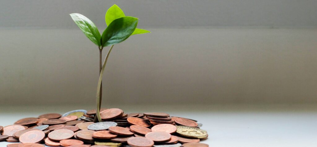 Seedling growing from money coins