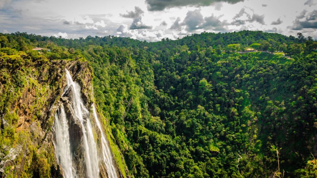Jog Falls Forest – India