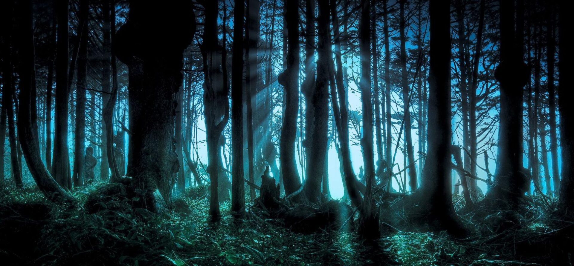 Most Dangerous Forests