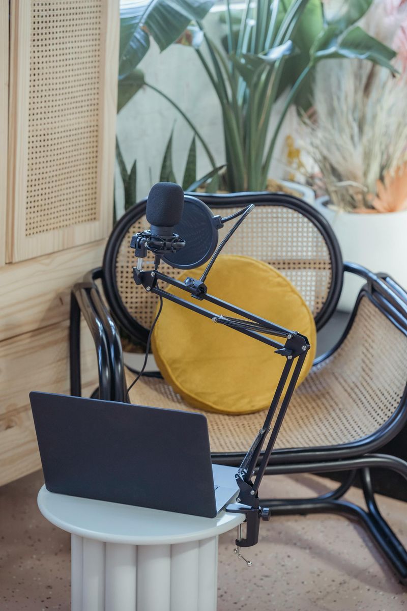 Creator business reinvestment strategy and growth