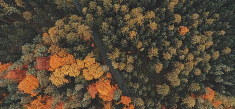 How Cardi B’s Grow-Good Beauty Actually Works