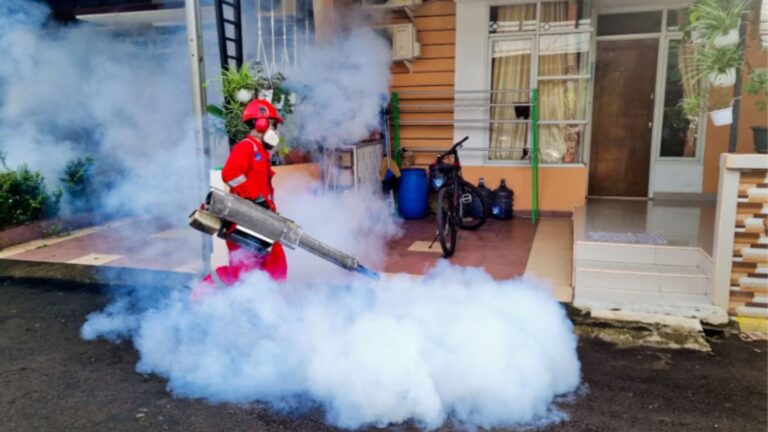 How Does A Full-Service Pest Provider Keep Your Home Genuinely Safe?