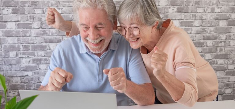 Online Gaming as a Leisure and Entertainment Activity for Seniors