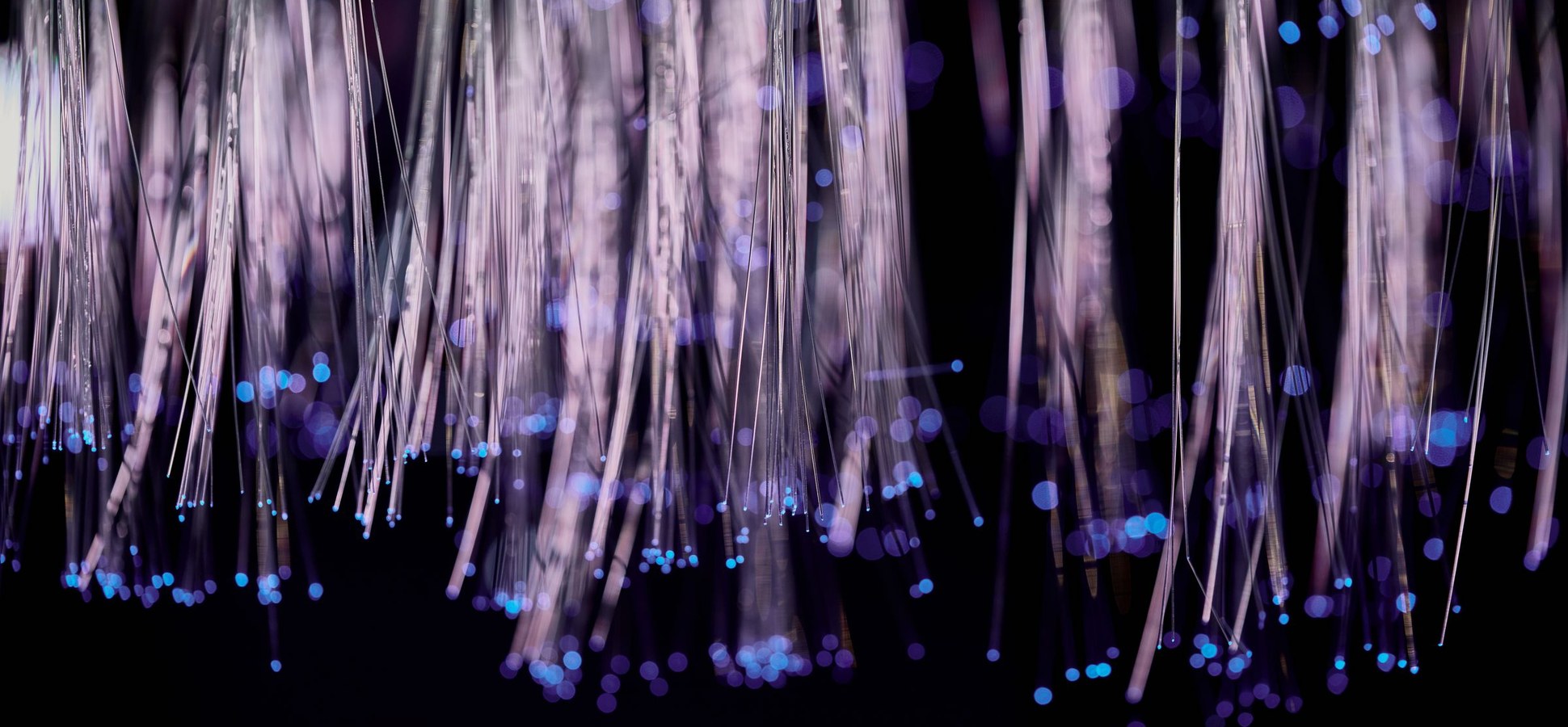 Purple and blue fiber-optic strands with bokeh lights against black.